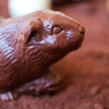 Petite marmotte chocolat noir